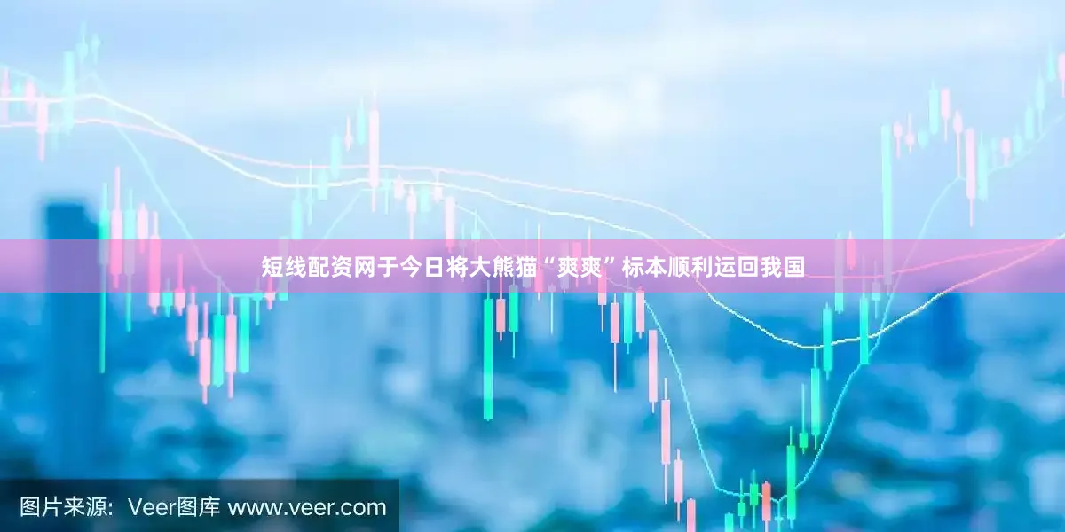 短线配资网于今日将大熊猫“爽爽”标本顺利运回我国