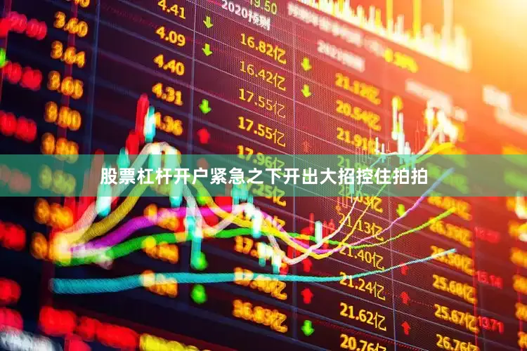 股票杠杆开户紧急之下开出大招控住拍拍