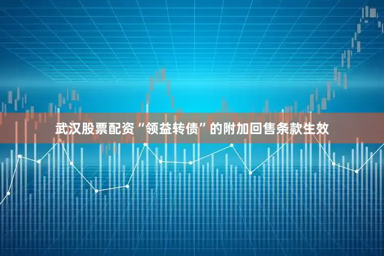 武汉股票配资“领益转债”的附加回售条款生效
