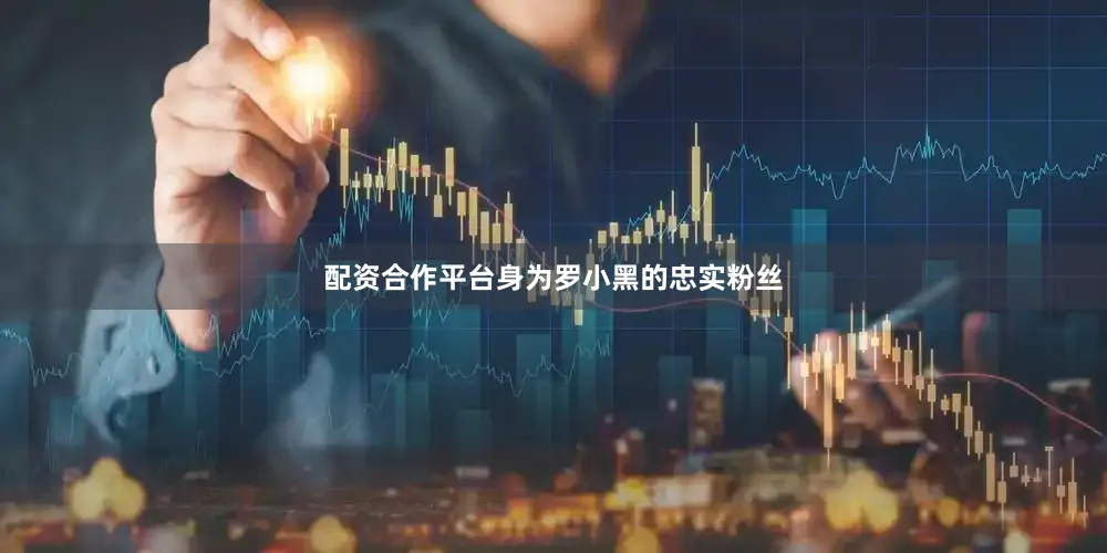 配资合作平台身为罗小黑的忠实粉丝